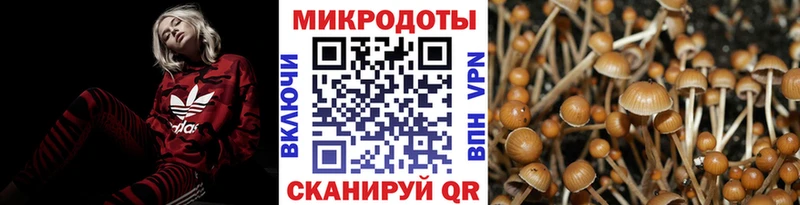 купить  цена  Мамадыш  Галлюциногенные грибы ЛСД 